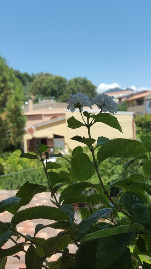 Il Girasole Bed and Breakfast Domus De Maria Εξωτερικό φωτογραφία